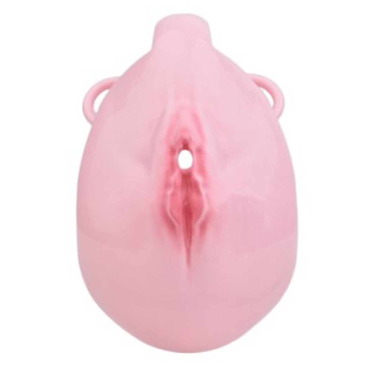 cage de chastete avec harnais sislab 55 x 35cm rose 11