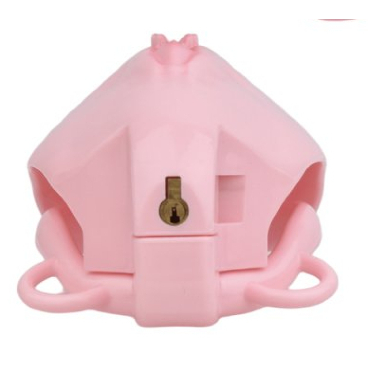 cage de chastete avec harnais sislab 55 x 35cm rose 13