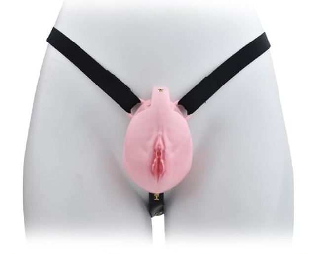 cage de chastete avec harnais sislab 55 x 35cm rose