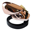 cage de chastete couleur bronze 1