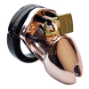 cage de chastete couleur bronze