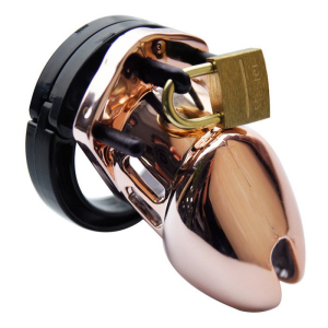 cage de chastete couleur bronze