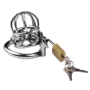 cage de chastete en metal spike cock 6 x 32cm 2