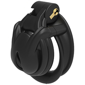 cage de chastete evo s 4 x 35cm noire