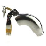 cage de chastete iron 9 x 35cm 6