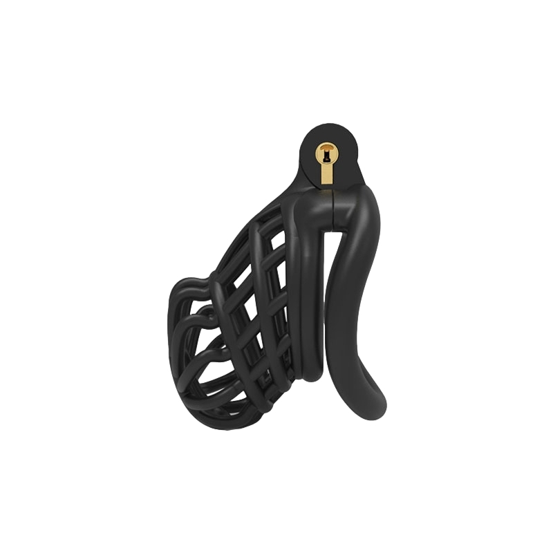 cage de chastete keima 75 x 36cm noir 1