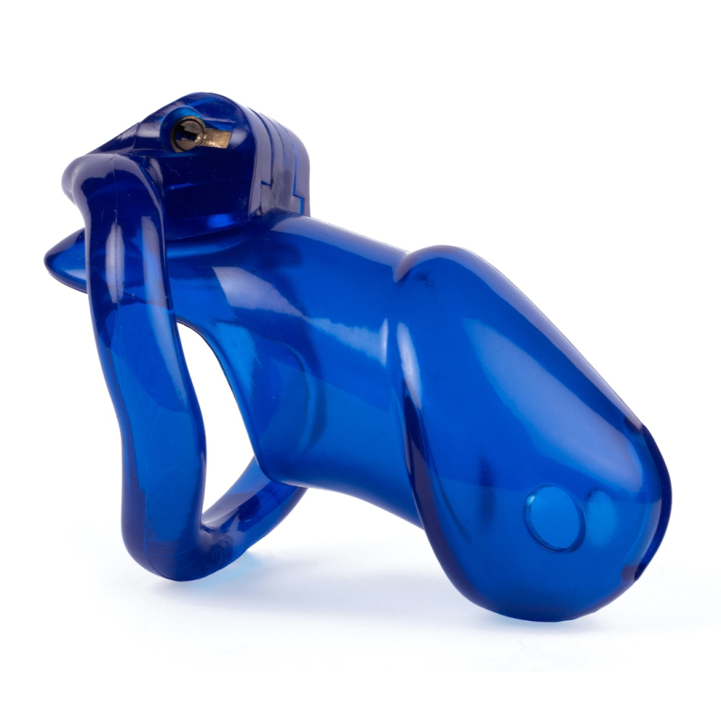 cage de chastete lock up 94 x 32cm bleue