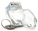 cage de chastete lock up 94 x 32cm transparente