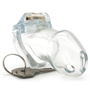 cage de chastete lock up 94 x 32cm transparente