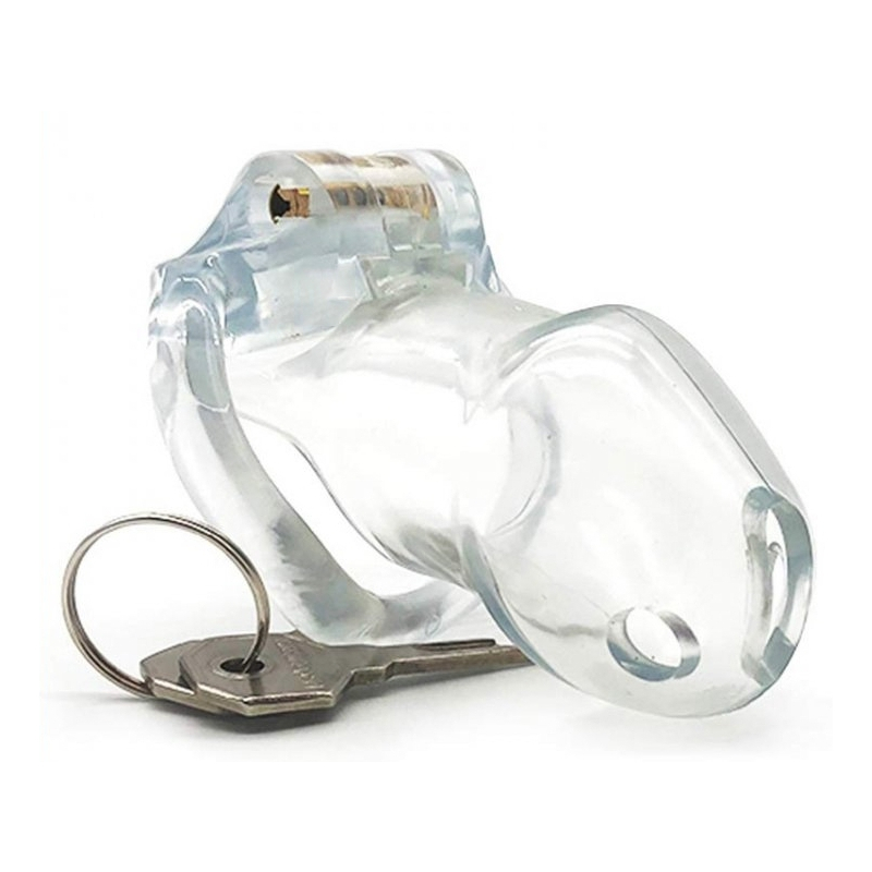 cage de chastete lock up 94 x 32cm transparente