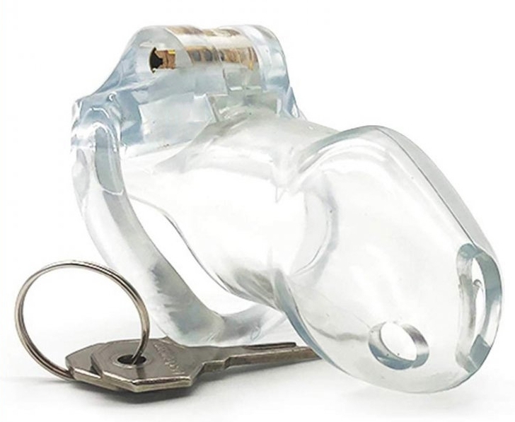 cage de chastete lock up 94 x 32cm transparente