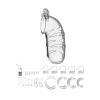 cage de chastete mancage modele 05 14 x 45 cm transparente 2