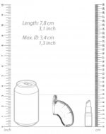 cage de chastete mancage modele 13 65 x 34cm transparente 2