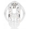 cage de chastete mancage modele 25 9 x 35cm transparente 2