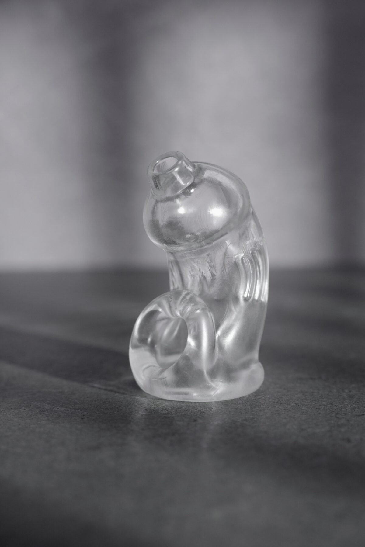 cage de chastete mancage modele 29 95 x 32cm transparente 4