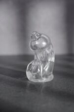 cage de chastete mancage modele 29 95 x 32cm transparente 4