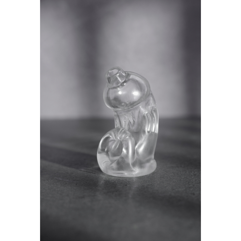 cage de chastete mancage modele 29 95 x 32cm transparente 4