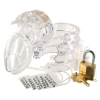 cage de chastete mini locky 6 x 32 cm transparente 2