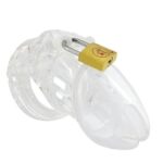 cage de chastete mini locky 6 x 32 cm transparente 3