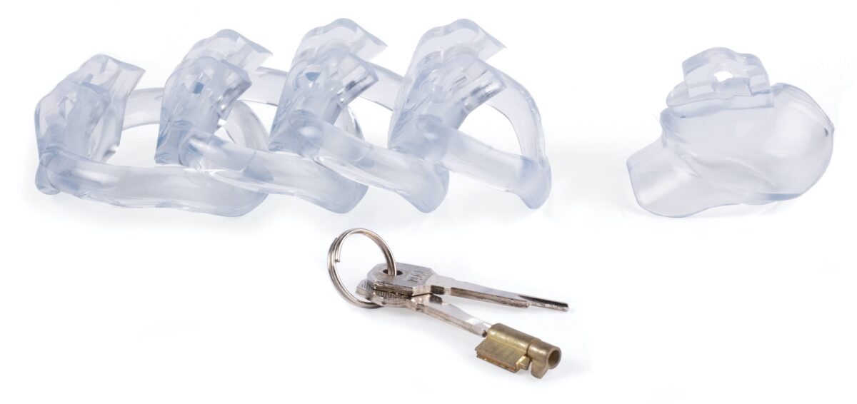 cage de chastete nano 57 x 32cm transparent 1