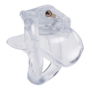 cage de chastete nano 57 x 32cm transparent