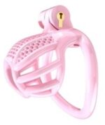 cage de chastete nexia s 5 x 31cm rose 1