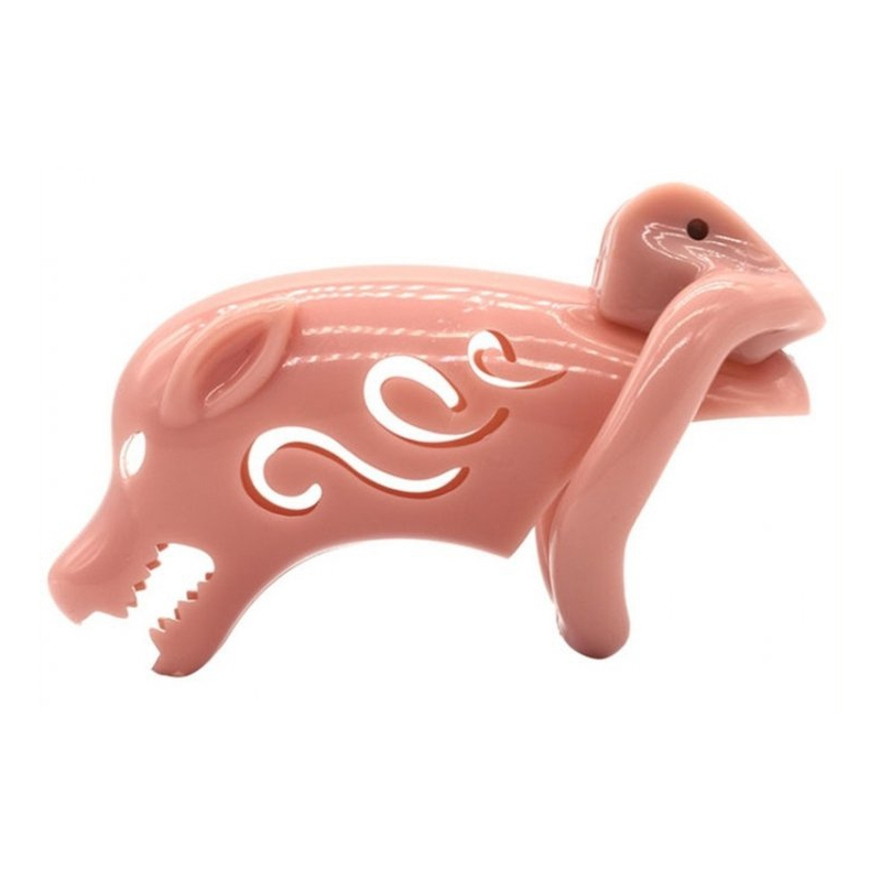 cage de chastete pig rough 10 x 35cm 1