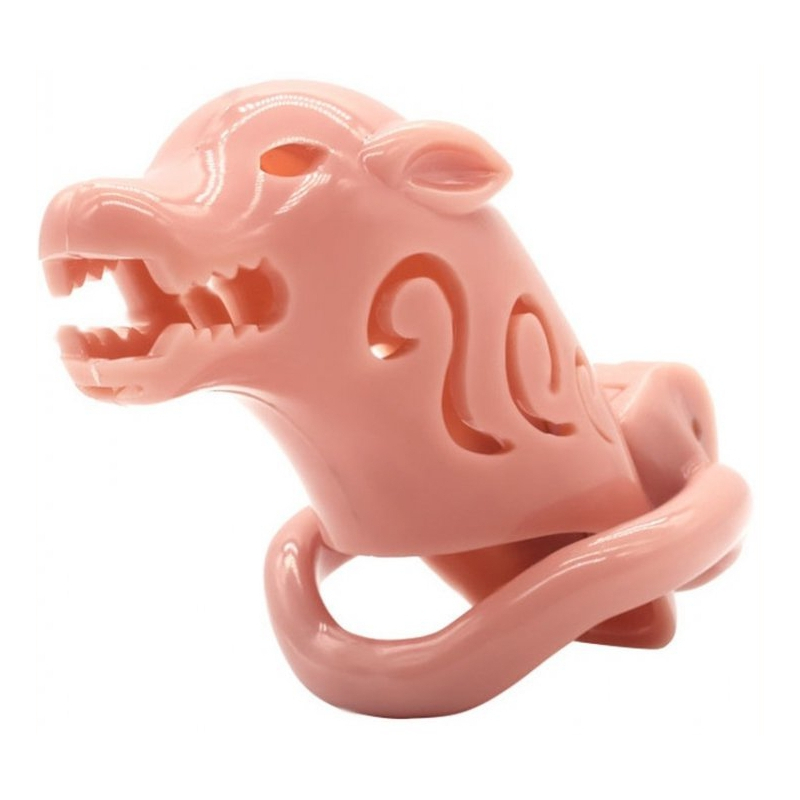 cage de chastete pig rough 10 x 35cm