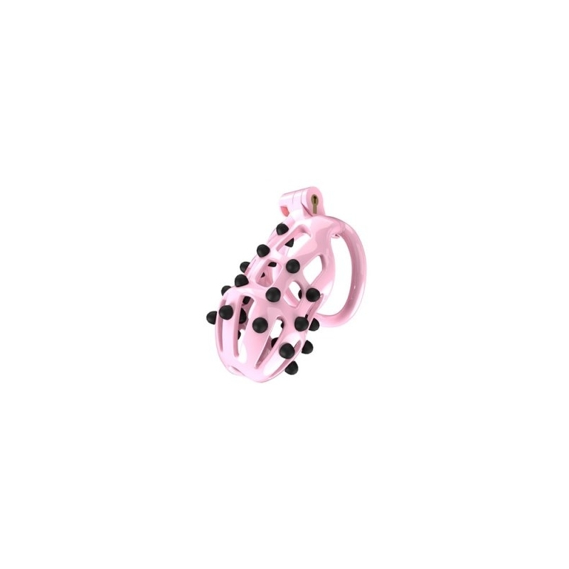 cage de chastete point up l 10 x 4 cm rose 1