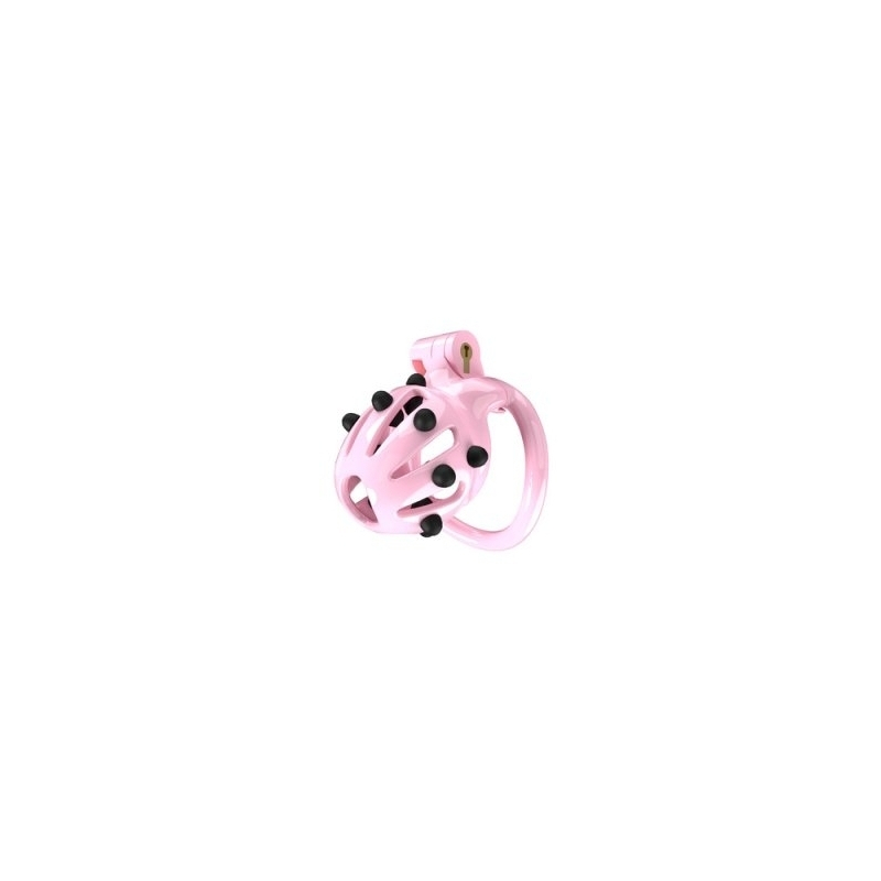 cage de chastete point up s 6 x 35 cm rose 1