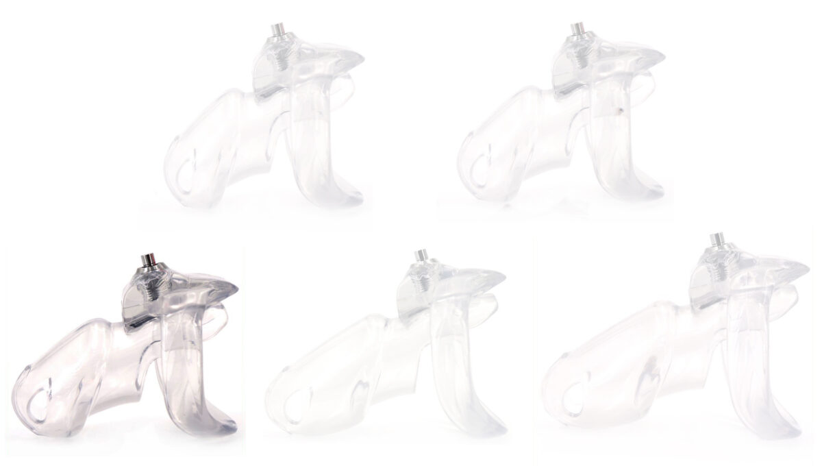 cage de chastete presskey l 85 x 33cm scaled