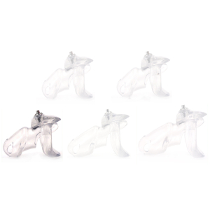 cage de chastete presskey l 85 x 33cm scaled