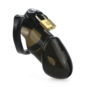 cage de chastete rickers 9 x 3cm noire