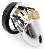 cage de chastete silver argentee 3