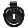 cage de chastete sissy clit 25 x 38 cm noir 1