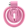 cage de chastete sissy clit 25 x 38cm rose