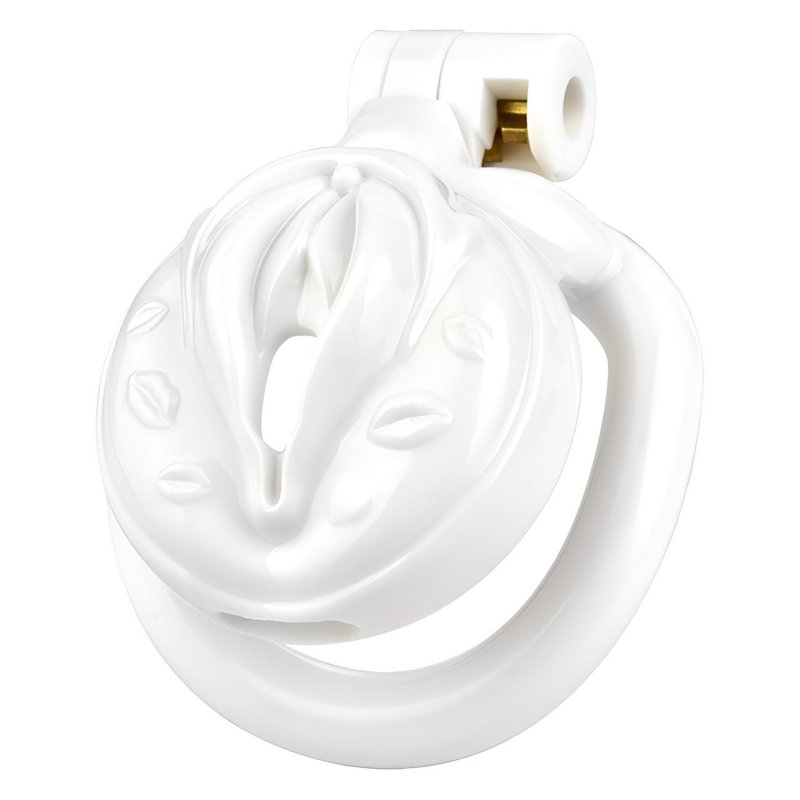 cage de chastete sissy kiss 35 x 38cm blanc 1