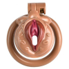 cage de chastete sissy kiss 35 x 38cm marron