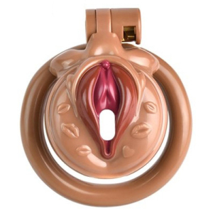 cage de chastete sissy kiss 35 x 38cm marron