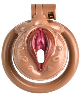 cage de chastete sissy kiss 35 x 38cm marron