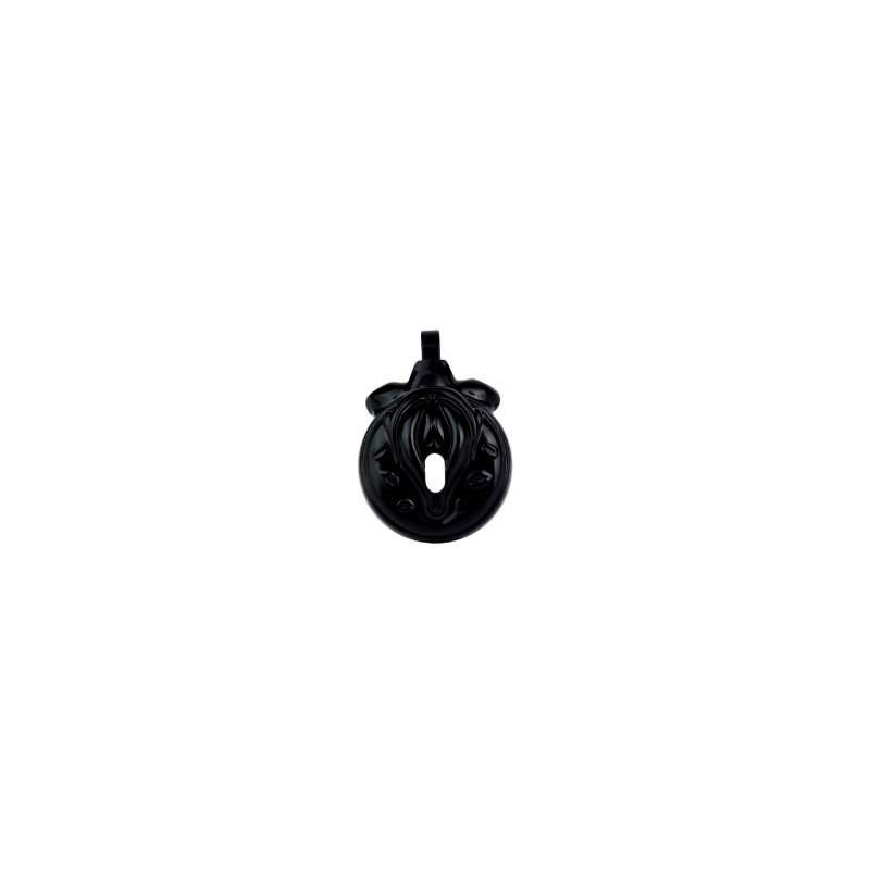 cage-de-chastete-sissy-kiss-35-x-38cm-noir cage de chastete sissy kiss 35 x 38cm noir