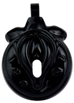 cage de chastete sissy kiss 35 x 38cm noir