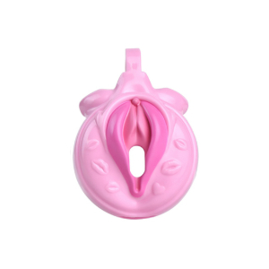 cage de chastete sissy kiss 35 x 38cm rose