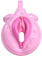 cage de chastete sissy kiss 35 x 38cm rose