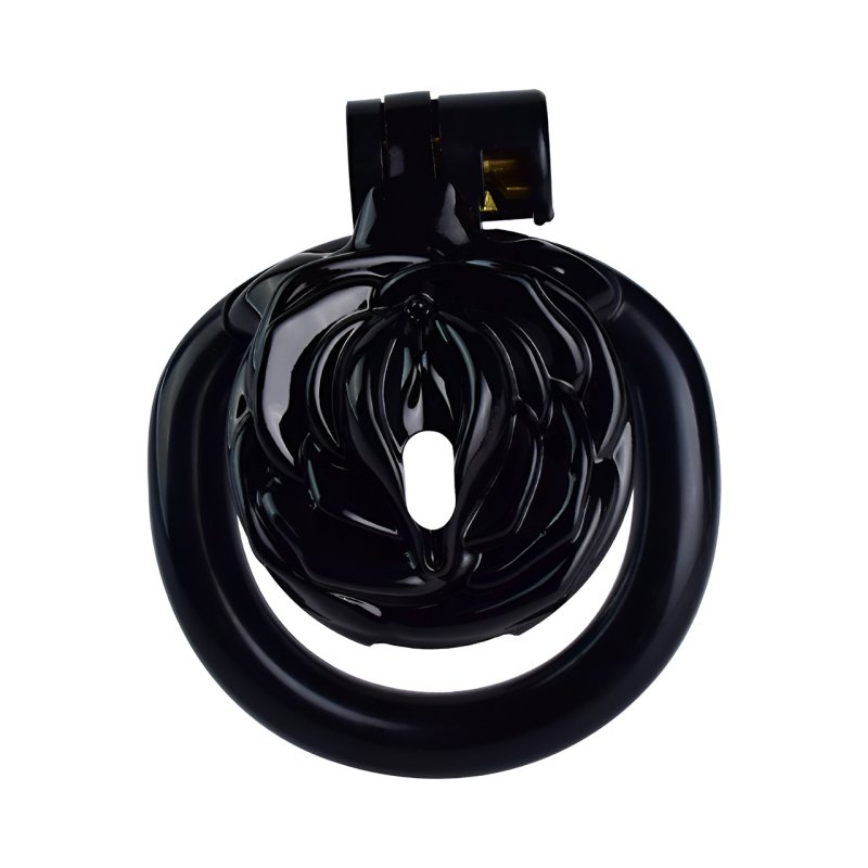 cage de chastete sissy rose 35 x 35 cm noire