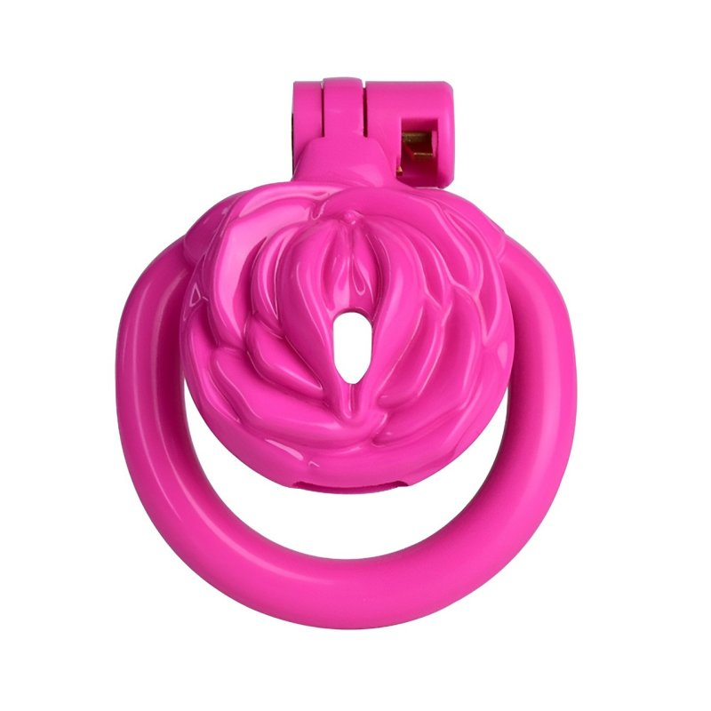 cage de chastete sissy rose 35 x 35 cm rose