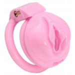 cage de chastete sissy s 45 x 34cm 1