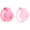 cage de chastete sissy s 45 x 34cm