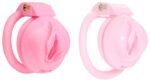 cage de chastete sissy s 45 x 34cm