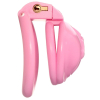 cage de chastete sissy s 45 x 34cm 3